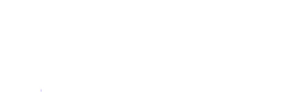 SPARK UNION CAPITAL